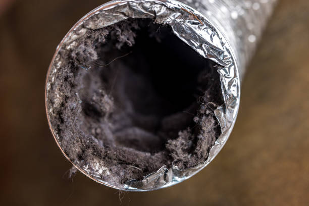 Best Ventilation Cleaning Services  in Cheswick, PA
